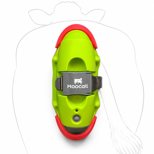 Sensore parto mucche - sensore, –